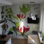 Impression lumineuse sur la peinture murale dans la cuisine
