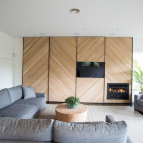salon moderne dans des idées de design d'appartement