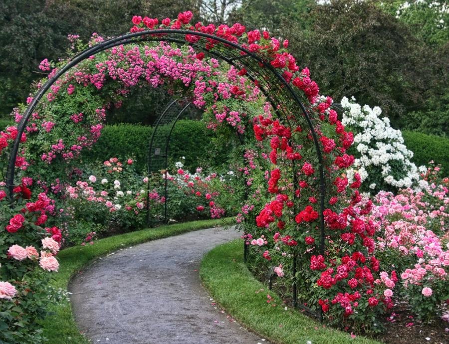 الورود سلسلة على قوس حديقة أنابيب الصلب
