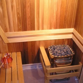 Sauna stove with wood trim