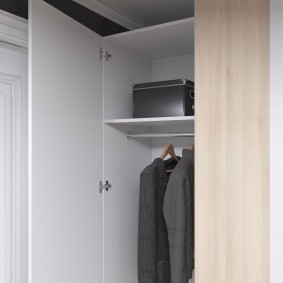 wardrobe with swing doors to the hallway interior ideas