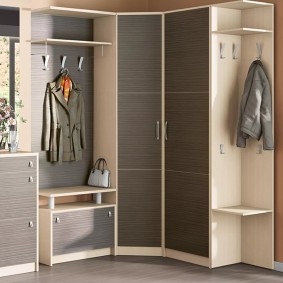 wardrobe with hinged doors to the hall types of photos