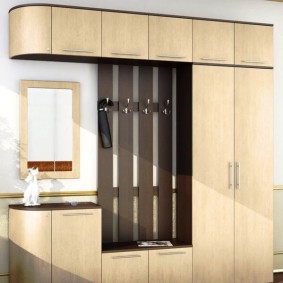 wardrobe with swing doors to the entrance hall