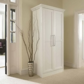 armoire avec portes à charnières au design photo du couloir